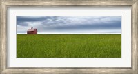 Framed Farm & Country VI