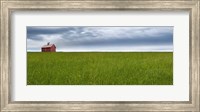 Framed Farm & Country VI