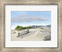 Framed Beachscape III