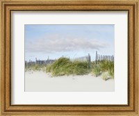 Framed Beachscape IV