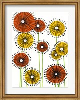 Framed Flower Wheels II