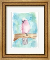 Framed Sweet Tropical Bird III