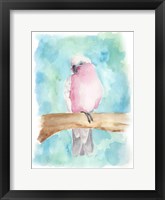 Sweet Tropical Bird III Framed Print