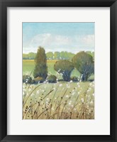 Summer Breeze I Framed Print