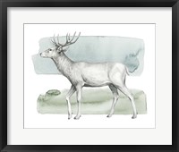 Animale IV Framed Print