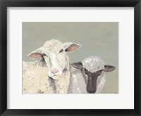 Sweet Lambs I Framed Print