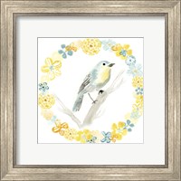 Framed 'Solo Songbird IV' border=