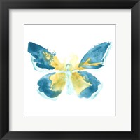 Framed 'Butterfly Traces I' border=