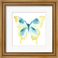 Framed 'Butterfly Traces II' border=