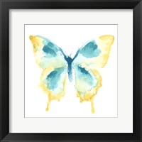 Framed 'Butterfly Traces II' border=