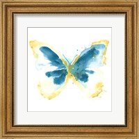 Framed 'Butterfly Traces III' border=
