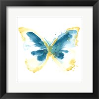 Butterfly Traces III Framed Print