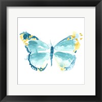 Framed 'Butterfly Traces IV' border=