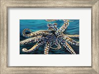 Framed Wild Octopus II