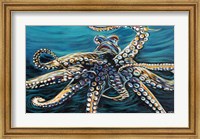 Framed Wild Octopus II