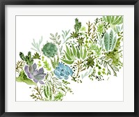 Framed Succulent Field I