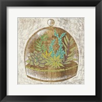 Framed Glass Garden I