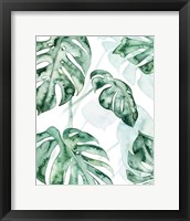 Split Leaf II Framed Print