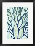 Sea Forest I Framed Print