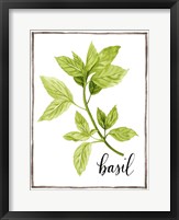 Framed Watercolor Herbs I