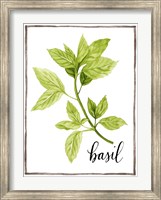 Framed Watercolor Herbs I
