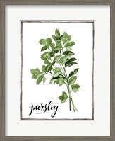 Framed Watercolor Herbs II