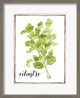 Framed Watercolor Herbs IV
