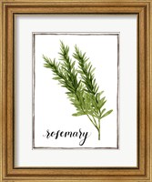 Framed Watercolor Herbs V