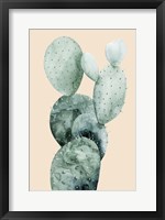 Framed Cactus on Coral I