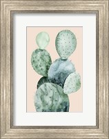Framed Cactus on Coral II