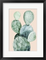 Cactus on Coral II Framed Print