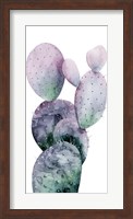 Framed Purple Cactus I