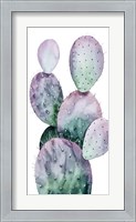 Framed Purple Cactus II