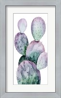 Framed Purple Cactus II