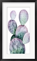 Framed Purple Cactus II
