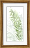Framed Faint Palms I