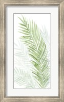 Framed Faint Palms I