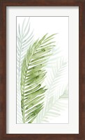 Framed Faint Palms II
