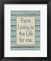 Framed Farm Sentiment II