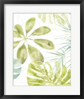 Island Medley II Framed Print