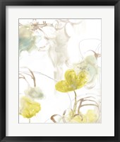 Floral Arc I Framed Print