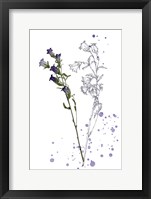 Botany Flower II Framed Print