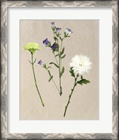 Framed Pretty Pressed Flowers I