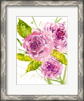 Framed Bouquet Rose I