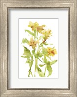Framed Watercolor Lilies II
