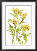 Framed Watercolor Lilies II