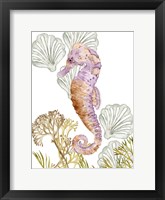 Framed Undersea Creatures II