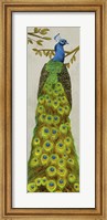 Framed Vintage Peacock I