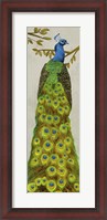 Framed Vintage Peacock I