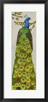Vintage Peacock I Framed Print